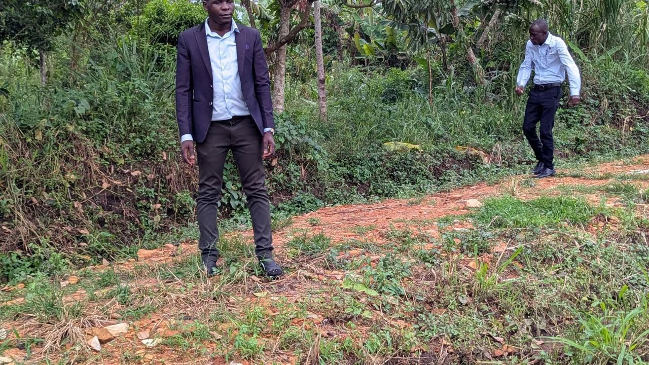houses wakiso