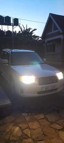 A picture of Subaru forester