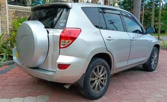 A picture of Miss Tz Rav for sale DKE