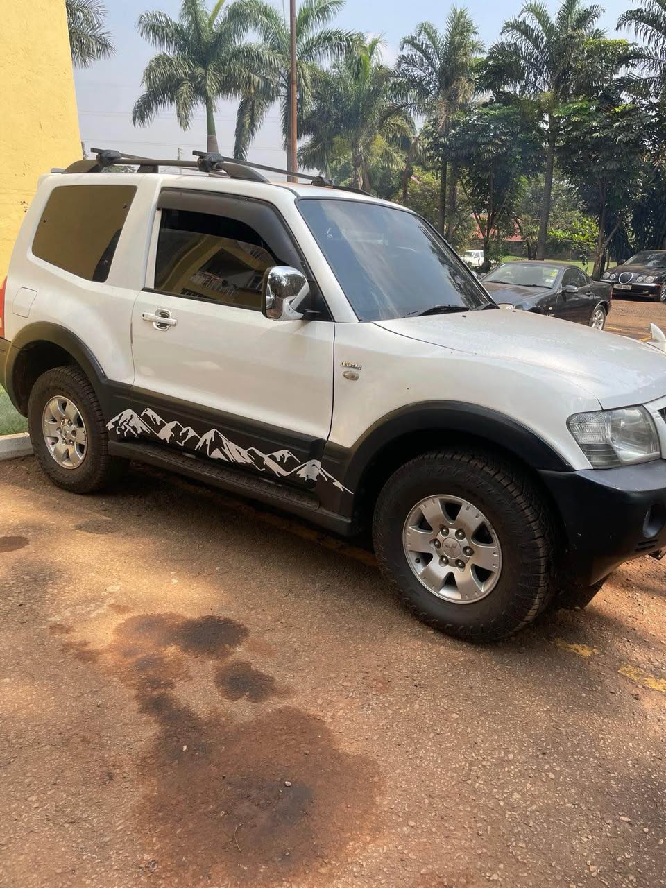 A picture of Pajero bitama