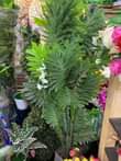 A picture of Artificial Flowers and Plants