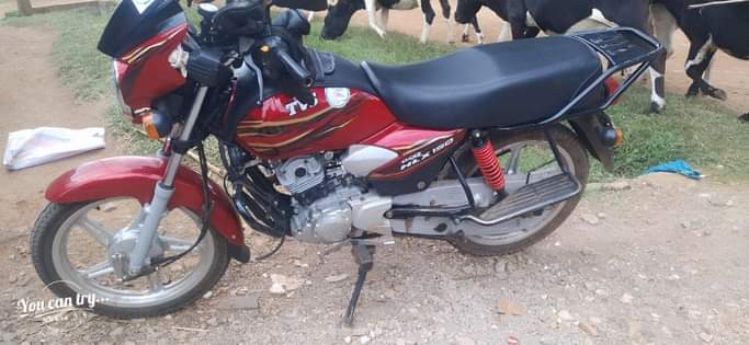 tvs hlx