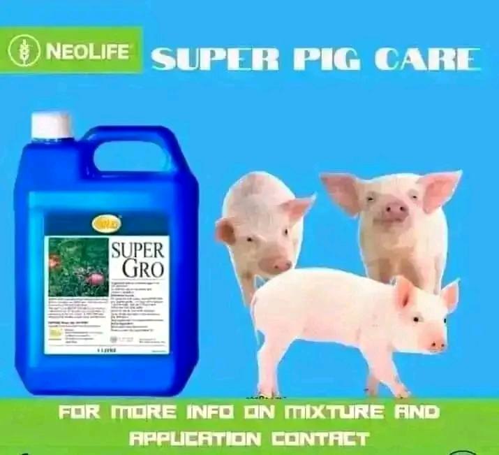fertilizer