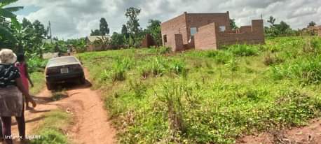 A picture of Plots for sale with title 12m matuga ssanga 5 plots