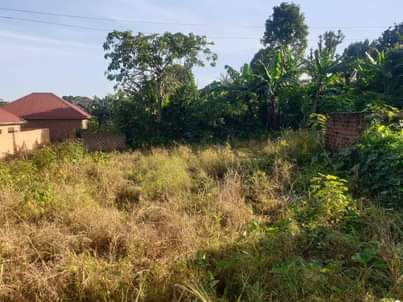 A picture of Land