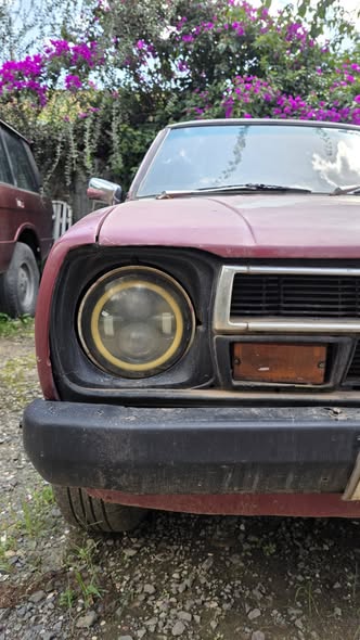datsun