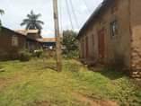 A picture of Plot with old house on sale 130m Plot size 80by60ft