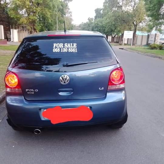 polo vivo