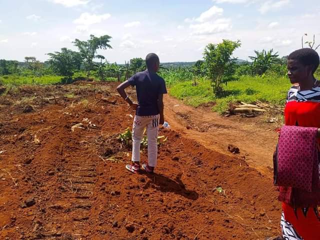 houses matugga