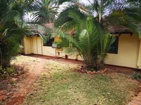 rooms to rent harare