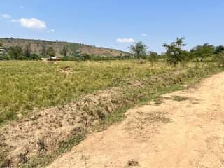 A picture of Rwenjeru
