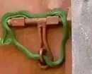 A picture of JAJJA