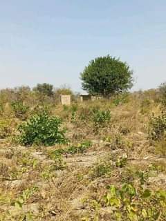 mwembeshi