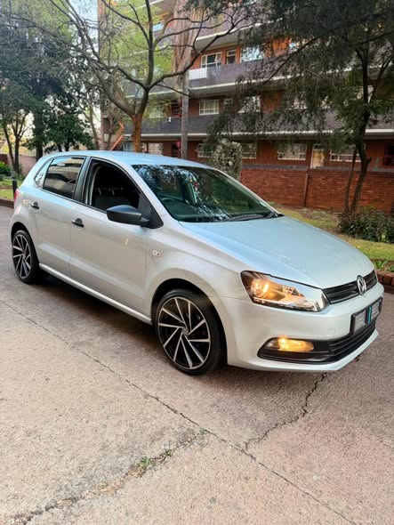 polo vivo