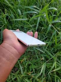A picture of Samsung S10