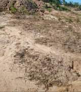 A picture of Kiwanja