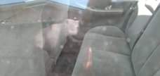 A picture of 2005 COROLLA