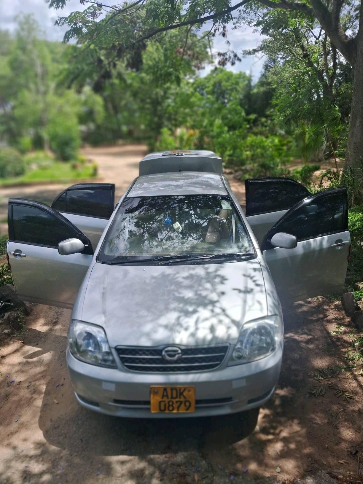 toyota corolla bubble