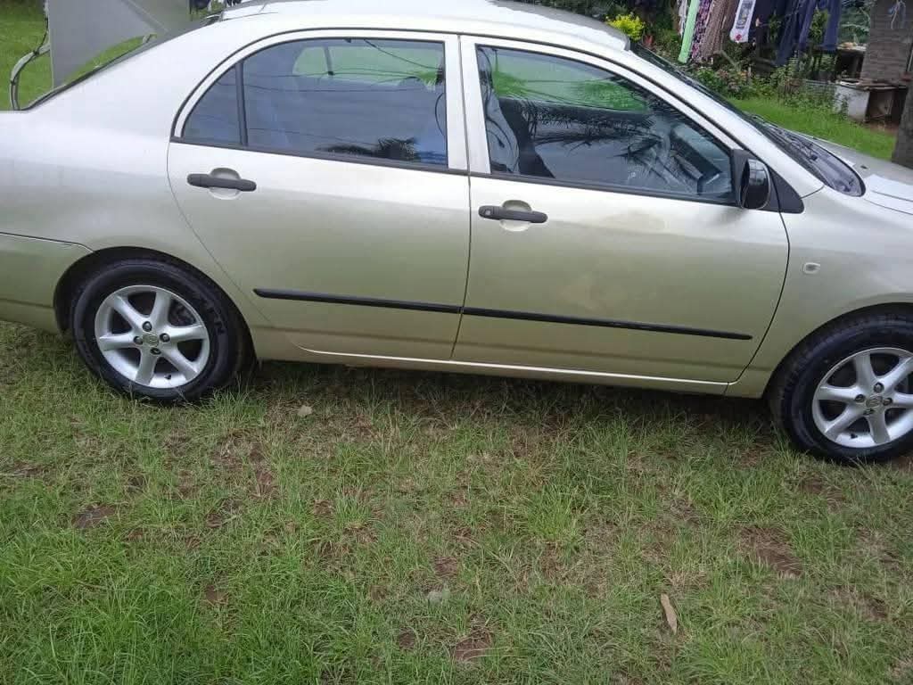 used toyota corolla