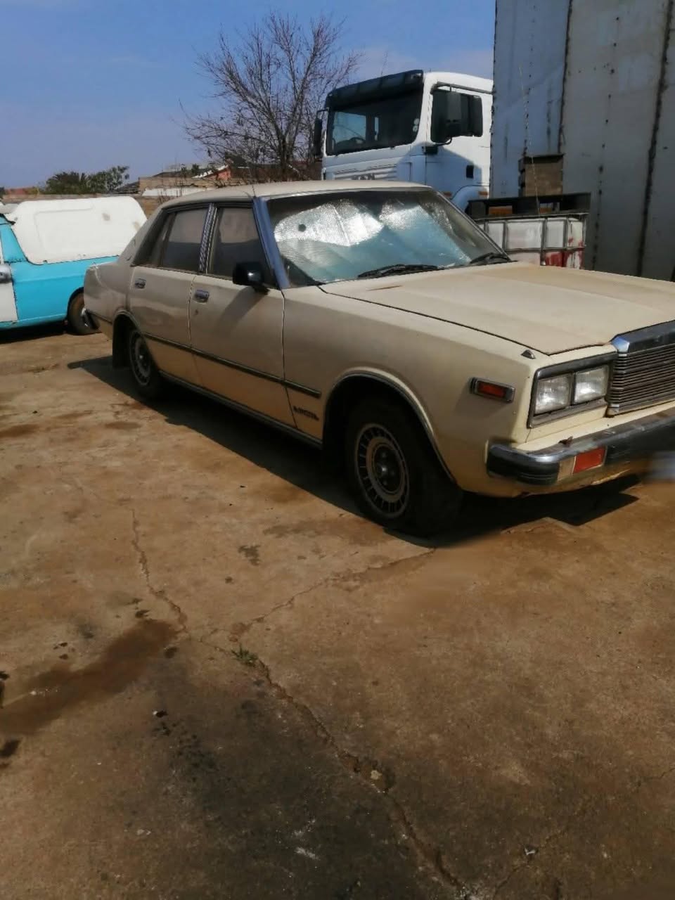 polo vivo