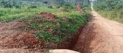 A picture of 3 fertile acres on sale all at 115m on main