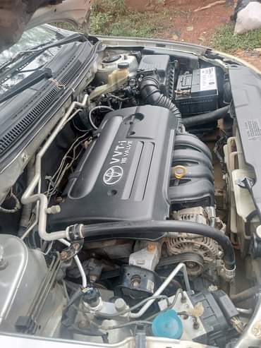 A picture of Not Registered Aug 2022 Entry 2006 Toyota Corolla Obama Liftback