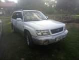A picture of Forester
