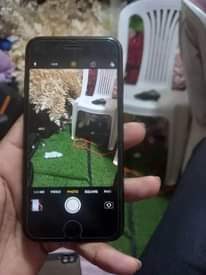 A picture of iPhone 7