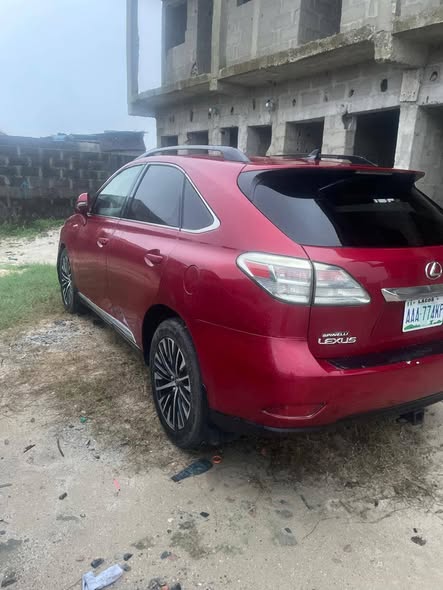 A picture of 2010 RX350