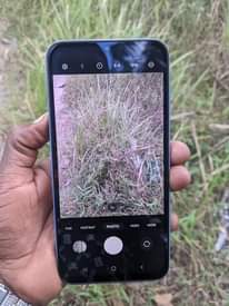 A picture of Samsung Galaxy a15 mpyaaaa mno gb128 ram4 net4g 0686820249
