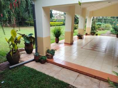wooden furniture