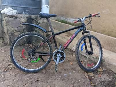 kinyinya accommodation