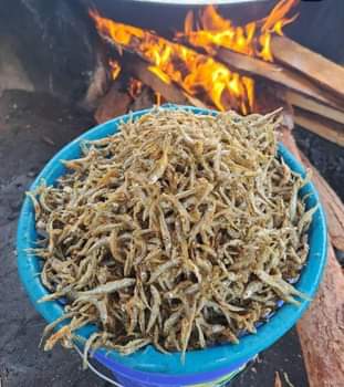 A picture of Dagaa watamu