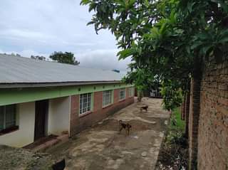 semi detached