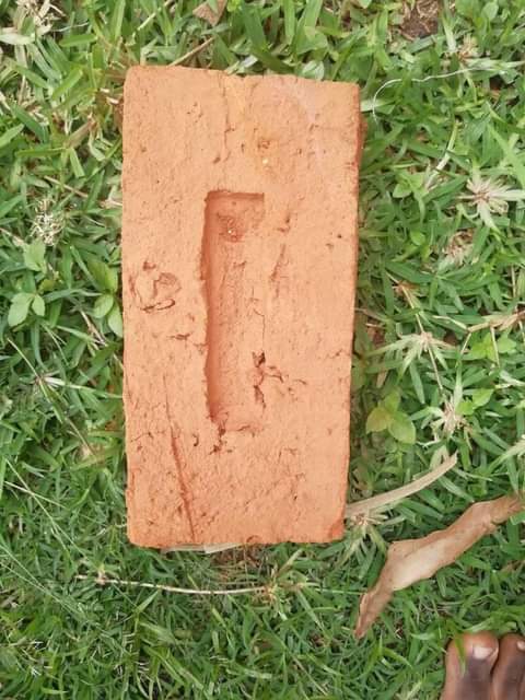 bricks