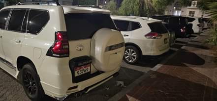 A picture of 2013 Model Prado