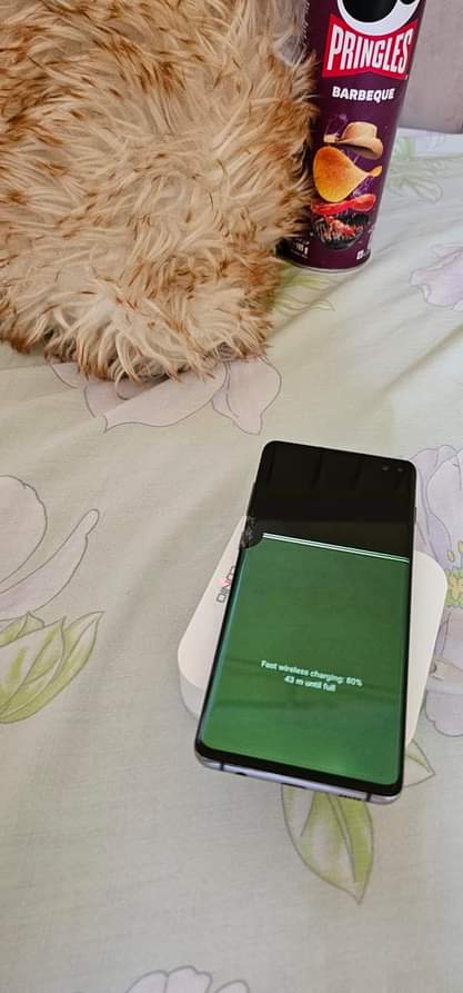 samsung s10
