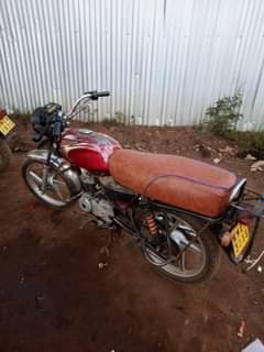 A picture of boxer Bm100