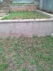 A picture of Compound designing