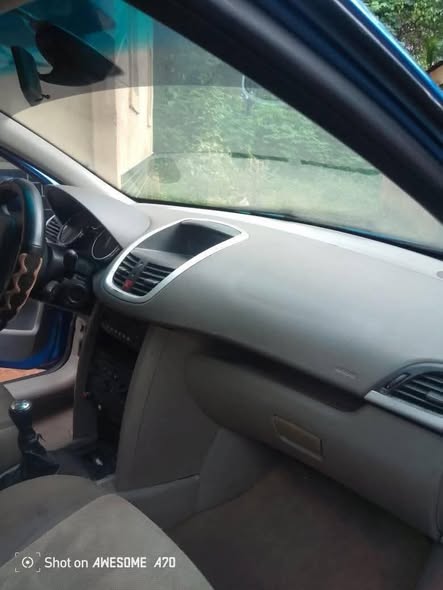 A picture of 2010 Peugeot 207