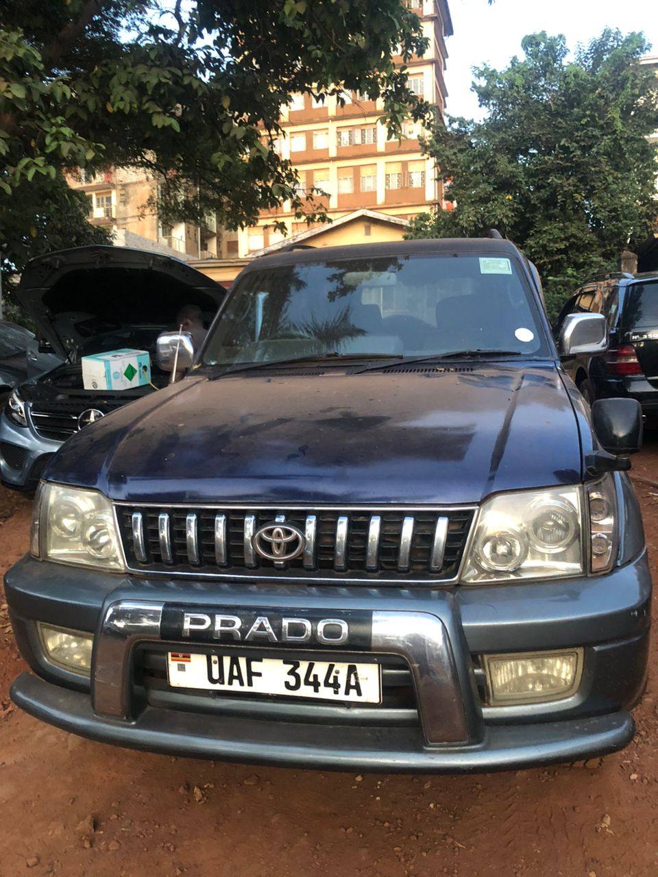 Mugabi P.
