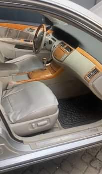 A picture of Avalon 08