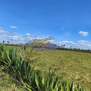 A picture of Nature s haven naivasha