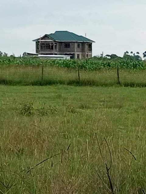 Macharia M.