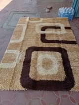 shaggy carpets