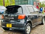 A picture of Vitz