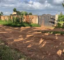 A picture of House for rent