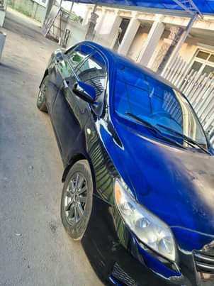 A picture of Toyota Corolla 2008