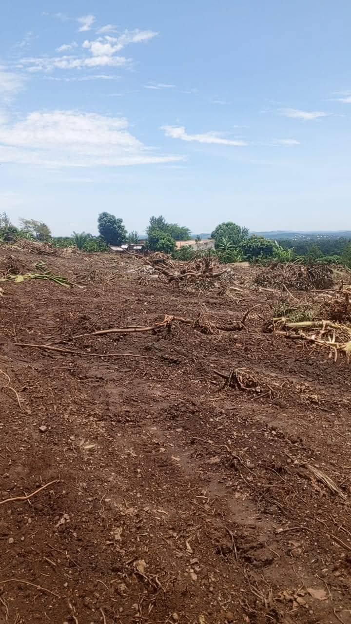 A picture of PLOTS OF SALE