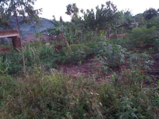 A picture of Litundibwa mubwangu ddala Kuba Kati ku 0756009912 0760514176 Kati kati